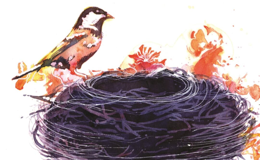 Ilustración: MAYRA MENESES