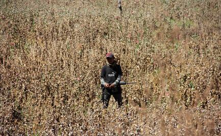 Impera violencia en sierra de Guerrero aun sin amapola