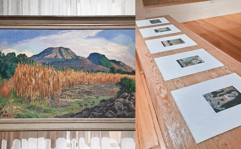 1. El maizal, de Dr. Atl, fue una donación de Rosario Garza Sada de Zambrano. 
2. Los nuevos catecismos, de Francisco Toledo, reaparece ante el público.
Fotos: Frida Juárez / EL UNIVERSAL