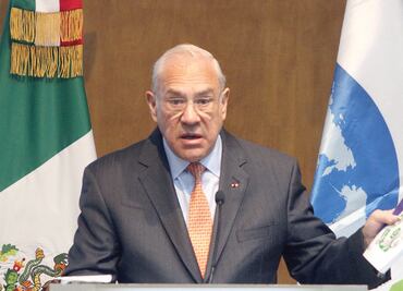 Plantea la OCDE analizar el efecto de tope salarial