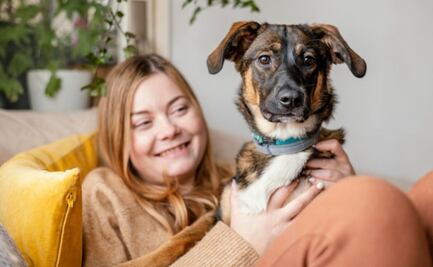 Estas son las posturas que realiza tu perro para demostrar su felicidad, según especialistas