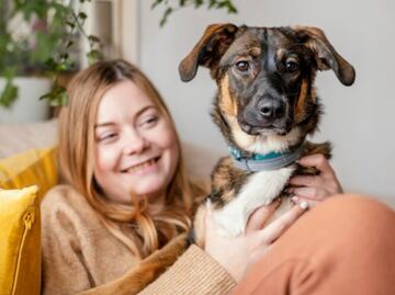 Estas son las posturas que realiza tu perro para demostrar su felicidad, según especialistas