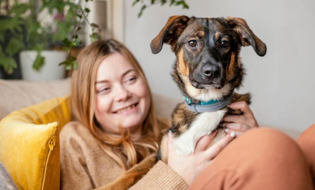 Entender el lenguaje corporal de tu perro es clave para saber si está feliz. Fuente: Freepik