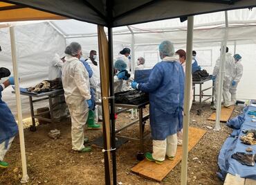 Entregan los primeros seis cuerpos encontrados sin calcinar en crematorio en Ciudad Juárez; hallan en total 386