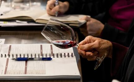 Descorcha el saber: ¡Conviértete en sommelier!