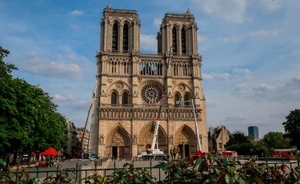 Más de 200 mil abejas están a salvo tras incendio en catedral de Notre Dame