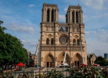 Más de 200 mil abejas están a salvo tras incendio en catedral de Notre Dame