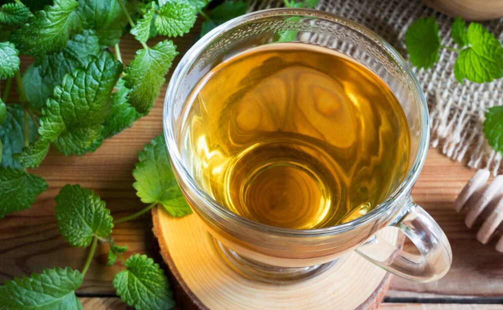 ​​​​​​​Aprovecha los beneficios de la infusión de toronjil. Foto: Madeleine_Steinbach / iStock
