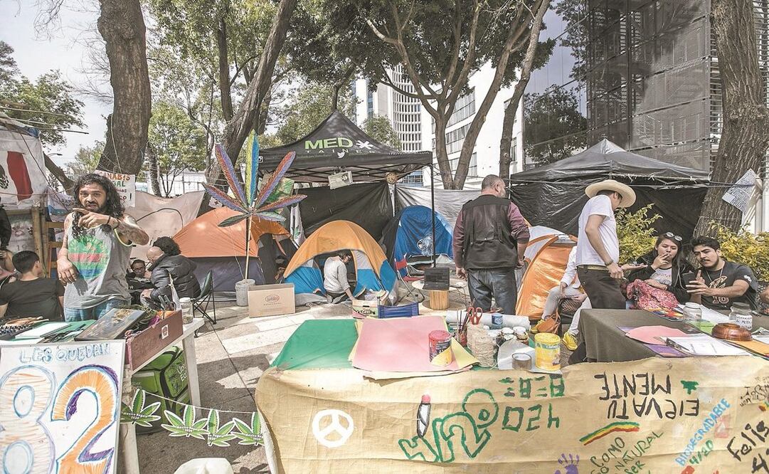 En su campamento, los activistas del Movimiento Cannábico Mexicano buscan que se legisle la libre asociación sin límite de cultivo de plantas. Foto: GERMÁN ESPINOSA. EL UNIVERSAL