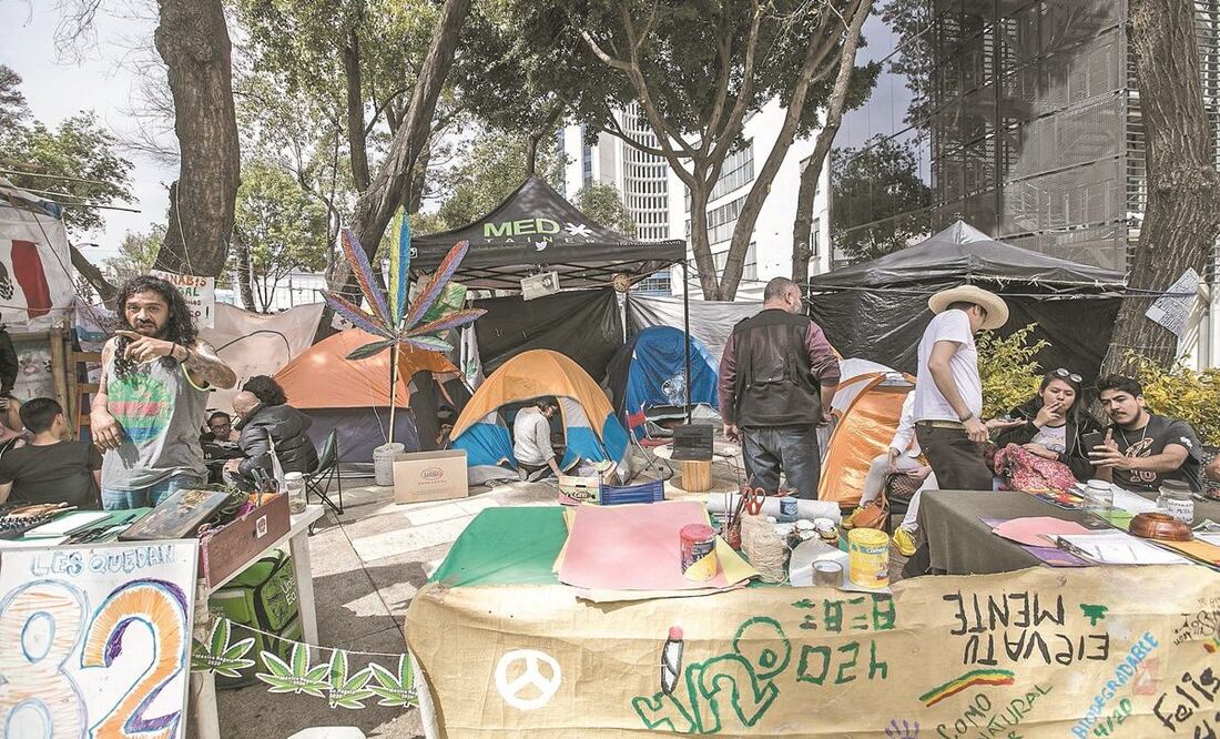 En su campamento, los activistas del Movimiento Cannábico Mexicano buscan que se legisle la libre asociación sin límite de cultivo de plantas. Foto: GERMÁN ESPINOSA. EL UNIVERSAL