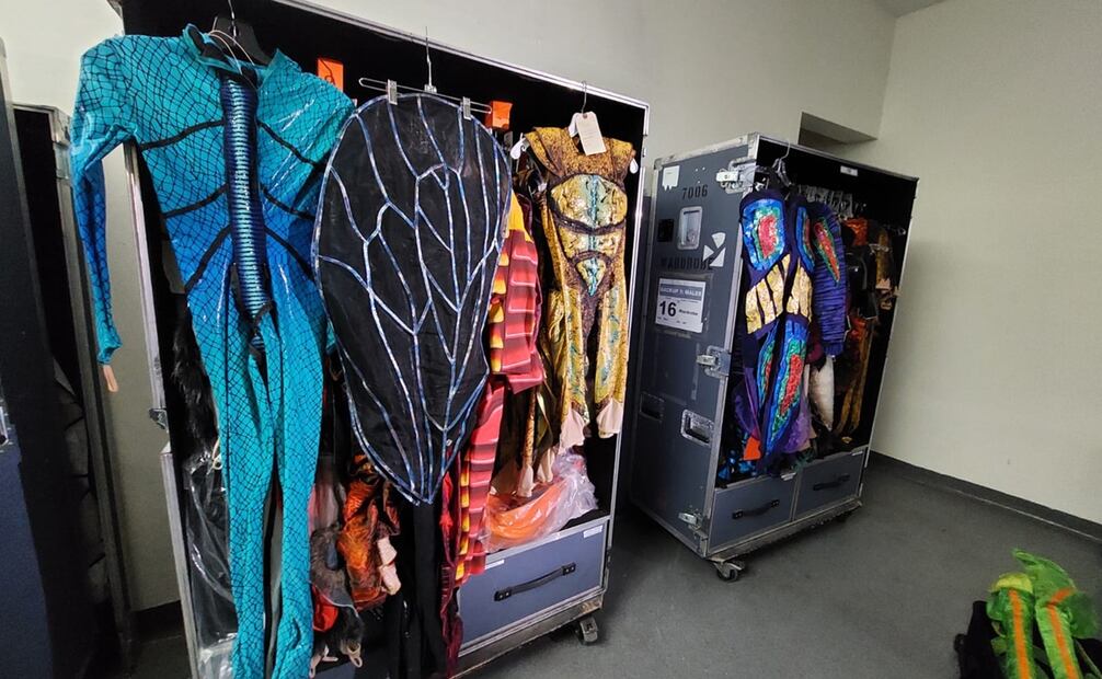 Alrededor de 800 piezas recrean el aspecto de cada insecto, desde su exoesqueleto hasta cómo luce su piel. Foto: Sughey Baños/ EL UNIVERSAL.