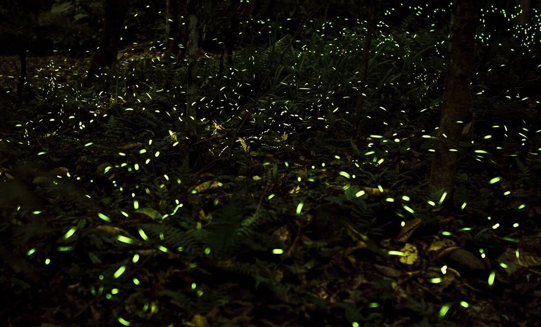 Foto: Sectur Michoacán