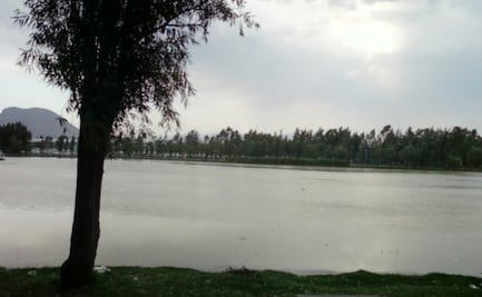 Obras CDMX lanza licitación para rehabilitar el Bosque de Tláhuac