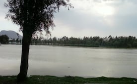 Sedema lanza dos licitaciones para rehabilitar Bosque de Tláhuac; fecha límite para adquirir las bases es el 25 de agosto