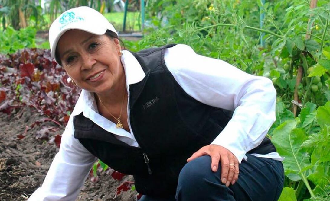 Refugio Rodríguez Vázquez, investigadora del Cinvestav.
Foto: Foro Consultivo Científico, especial
