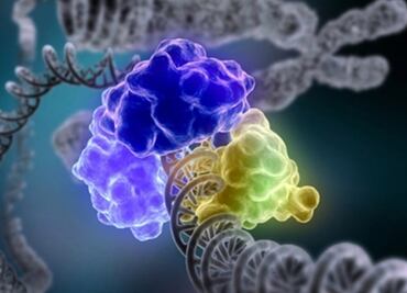 Descubren un método mejor para modificar el ADN