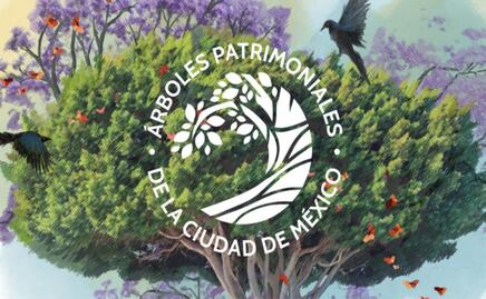 Así puedes nominar a un árbol para que sea declarado patrimonio de la CDMX; buscan ejemplares con valor histórico, ambiental o cultural