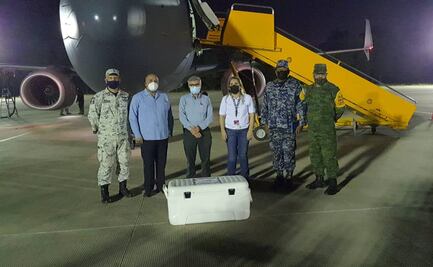 Llegan más vacunas contra Covid-19 de AstraZeneca a Sinaloa