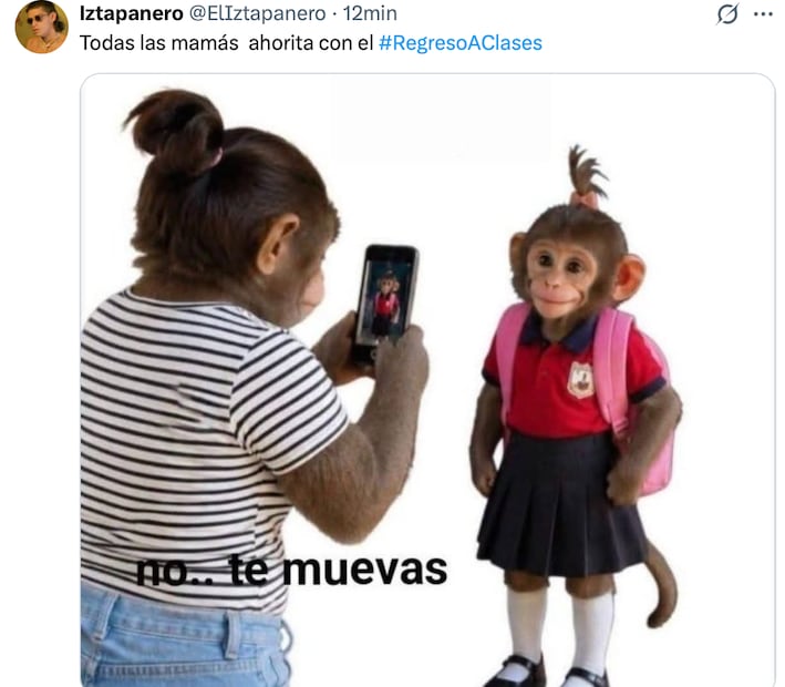 Los mejores memes que dejó el inicio del ciclo escolar 2026-2027. Foto: Redes sociales