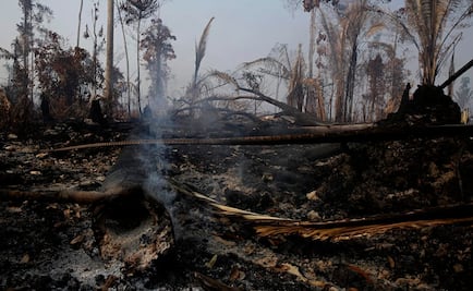 Las imágenes de los incendios registrados en la selva amazónica de Brasil