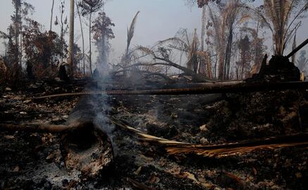 Las imágenes de los incendios registrados en la selva amazónica de Brasil