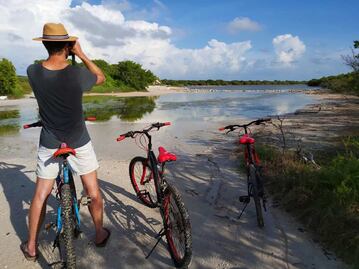 Cenotes y fantasmas: los mejores tours en bicicleta de Yucatán