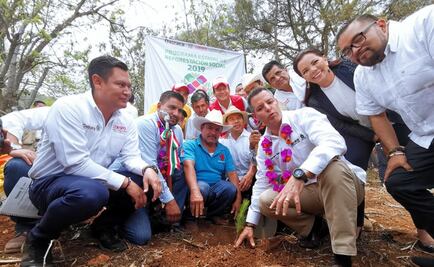 Gobernador de Oaxaca da banderazo a reforestación de la Sierra Sur