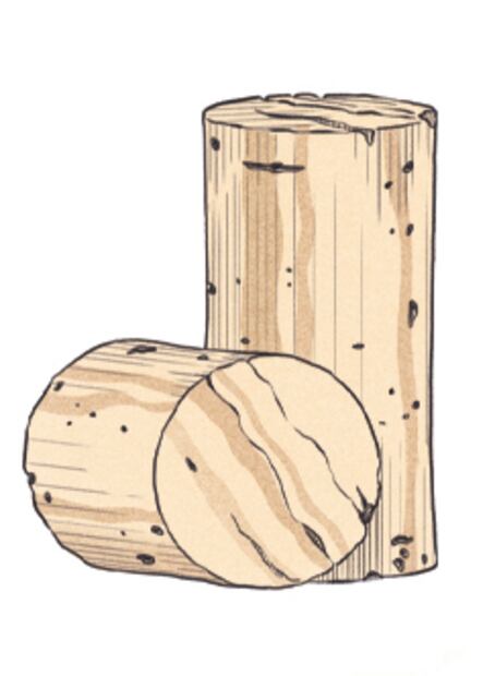 Corchos y tapones, los guardianes del vino