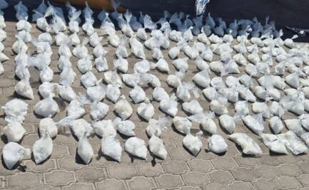 Aseguran droga oculta en camión