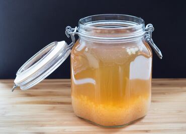 Todo lo que tienes que saber acerca de los tibicos