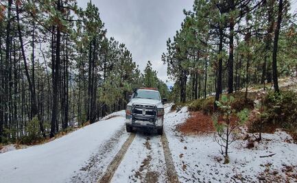 Frío pinta de blanco montañas del sur de Nuevo León