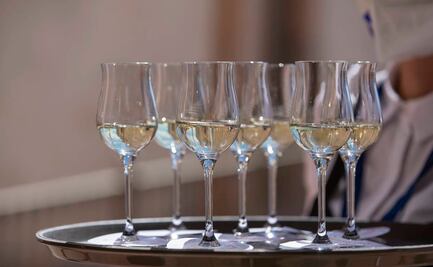 Columna: En Guanajuato se destila buen mezcal, aquí una muestra para creerlo