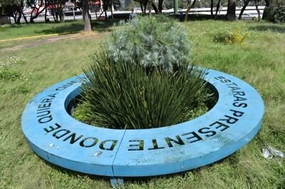 Iba manejando cuando se estrelló la aeronave de Juan Camilo Mouriño