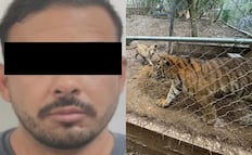 Cae en NL José Antonio “N”, líder de célula del Cártel del Noroeste; aseguran domicilios vinculados con "El señor de los buques"