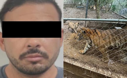 Cae en NL José Antonio “N”, líder de célula del Cártel del Noroeste; aseguran domicilios vinculados con "El señor de los buques"