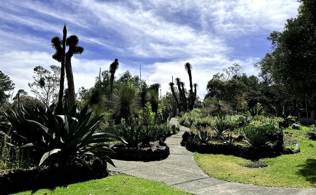 El Jardín Botánico UNAM también ofrece recorridos con expertos. Foto: Facebook Jardín Botánico IB-UNAM