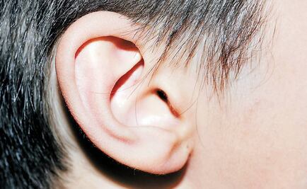 Científicos descubre cómo el cerebro detecta los sonidos cortos