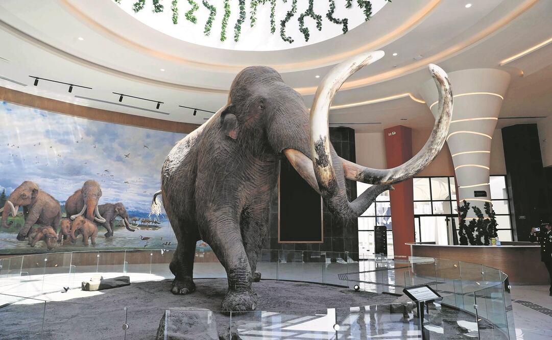 Los ciclistas podrán visitar los museos del Mamut y Militar de Aviación, detallaron autoridades. Foto: Archivo/ EL UNIVERSAL 