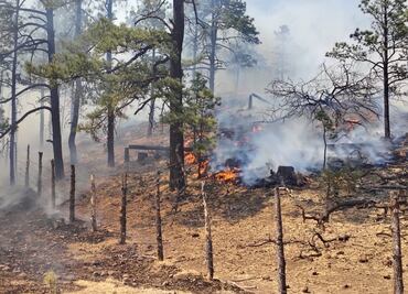 Activan Plan DN-III por incendios forestales en Chihuahua; suman 17 siniestros activos