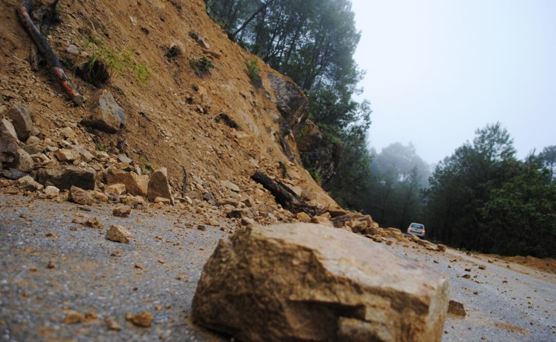 Foto: Archivo/ Cuartoscuro