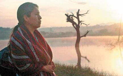 "Sin señas particulares" y "Noche de fuego", entre las galardonadas por Canacine