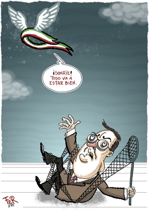 Cartón de FER