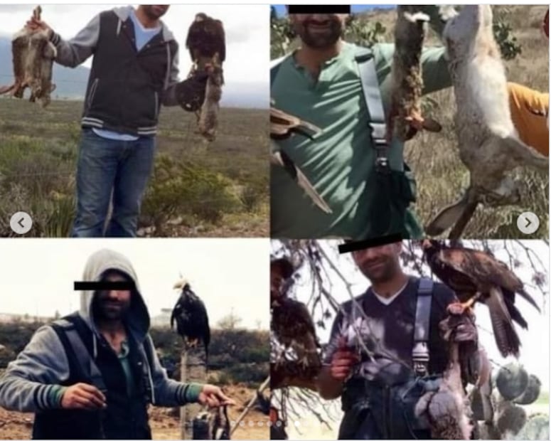 Imágenes de la publicación de Walt Dice. Foto: Instagram @walt_dice