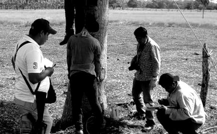 Cuelgan a 3 presuntos delincuentes de un árbol en Macuspana, Tabasco