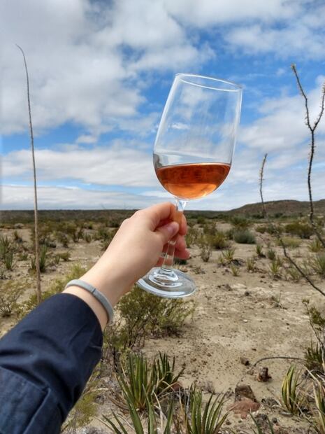 En Coahuila hay buen vino, conoce estas 4 bodegas