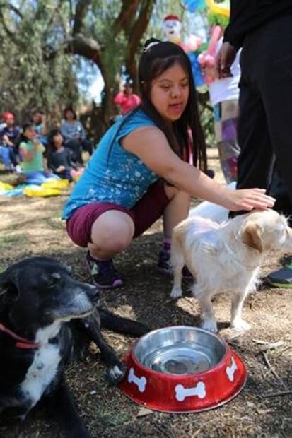 Abrazos que sanan: Jóvenes y mascotas que se rehabilitan juntos