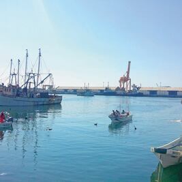 Genera Semar 896.7 mdp en Capitanías de Puerto