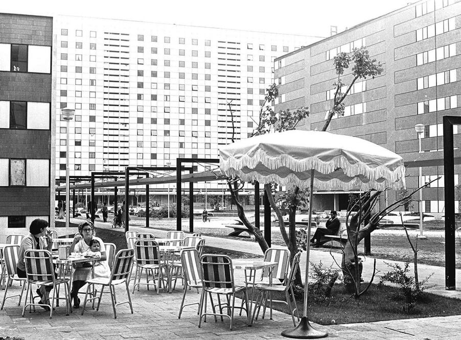 ¡Asesinos! ¡Asesinos! gritaba Cecilio desde la azotea