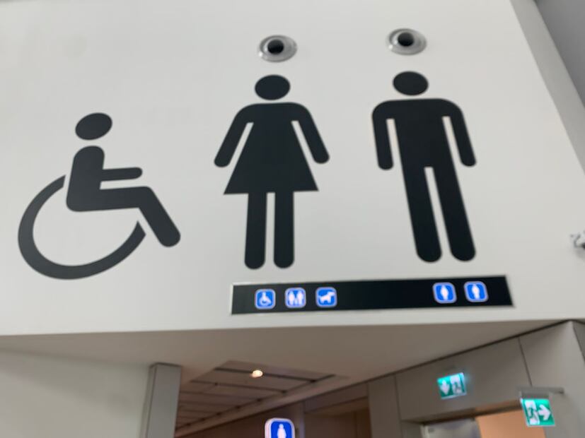 Baño de perritos Estambul. Foto: Especial / Ana Garces