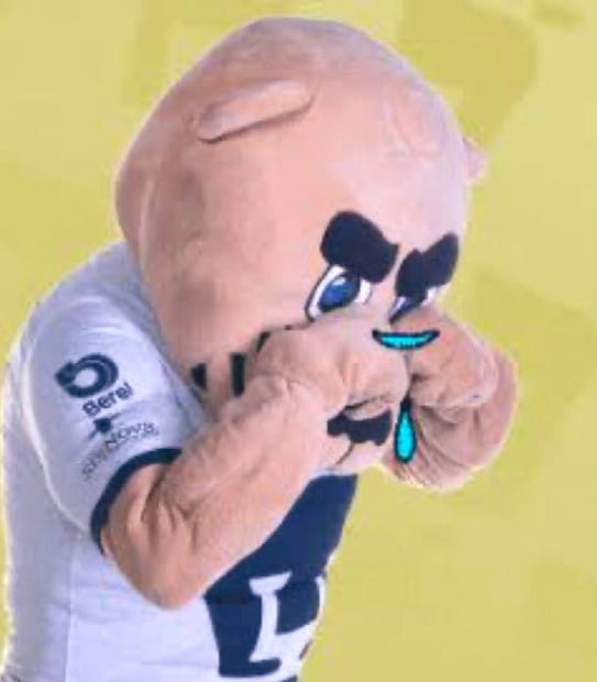 Pumas Memes